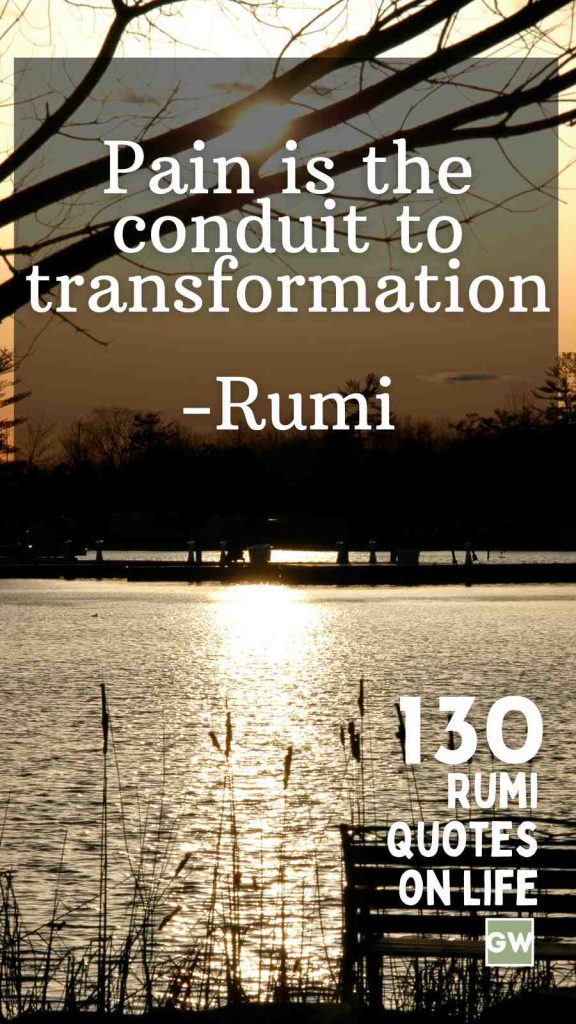 130 Thought-Provoking Rumi Quotes on Life and Love