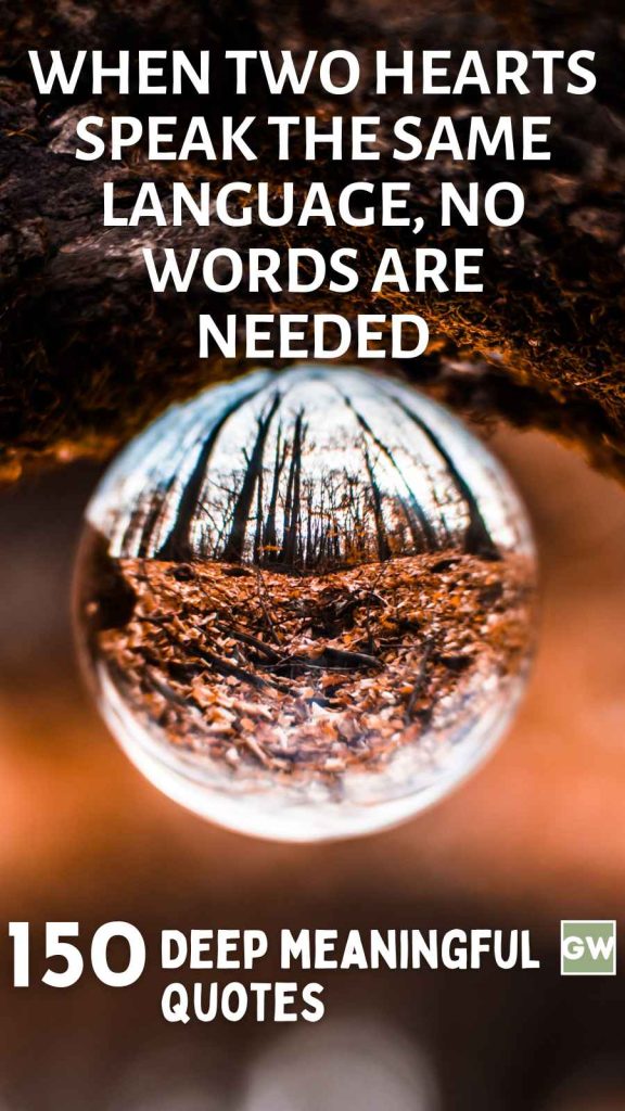 150 Soulful Sayings on Love, Bonding, and True Emotion